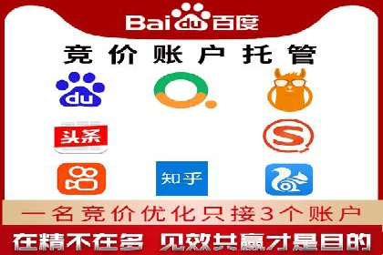 高效SEM托管公司案例对比分析